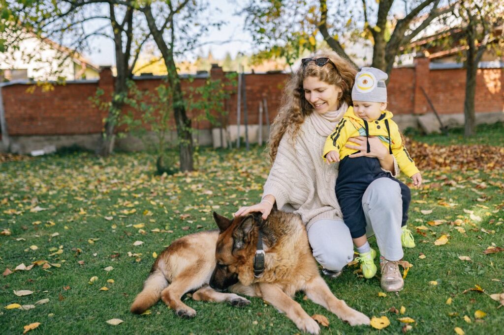 11 Meaningful Ways to Honor the Memory of a Companion Animal